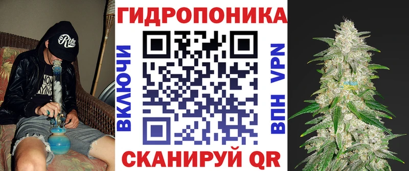 Купить наркотик аптеки Сосновый Бор Псилоцибиновые грибы  A PVP  Гашиш  Меф мяу мяу  КОКАИН  АМФ 