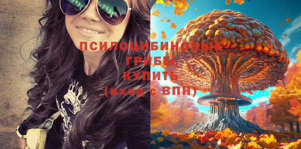 экстази Алексин