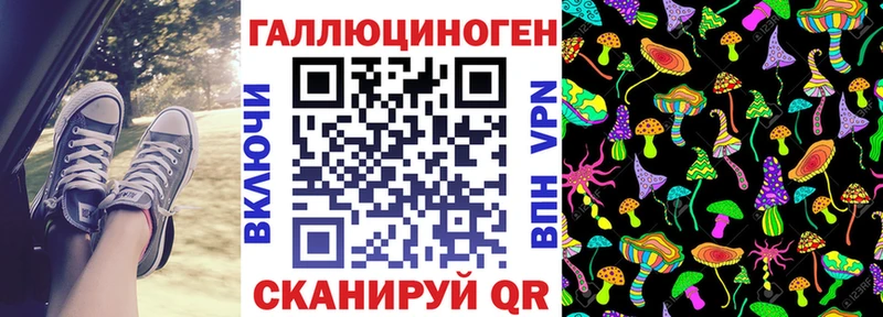KRAKEN ссылки  Сосновый Бор  Галлюциногенные грибы Psilocybine cubensis 