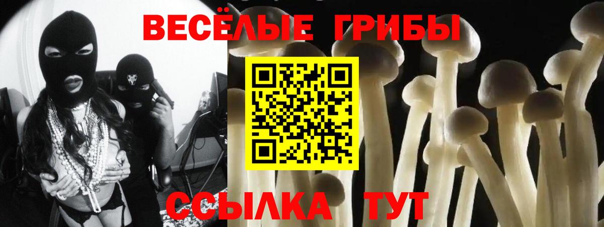 Псилоцибиновые грибы GOLDEN TEACHER Сосновый Бор